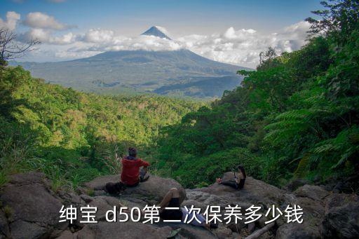  绅宝 d50第二次保养多少钱