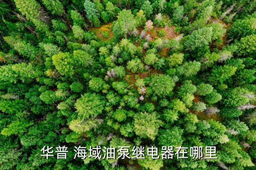  华普 海域油泵继电器在哪里