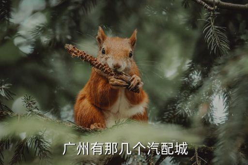  广州有那几个汽配城