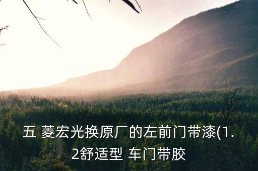 五 菱宏光换原厂的左前门带漆(1.2舒适型 车门带胶