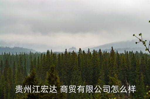  贵州江宏达 商贸有限公司怎么样
