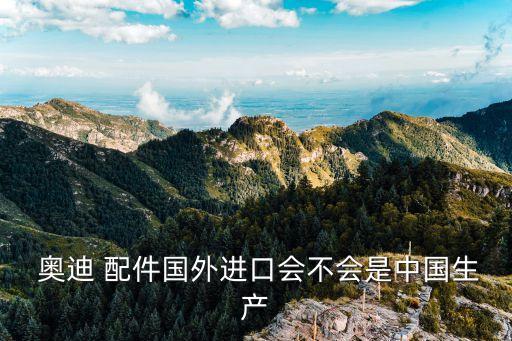  奥迪 配件国外进口会不会是中国生产