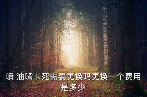 喷 油嘴卡死需要更换吗更换一个费用是多少