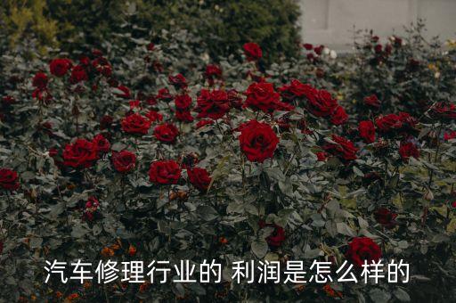 汽车修理行业的 利润是怎么样的