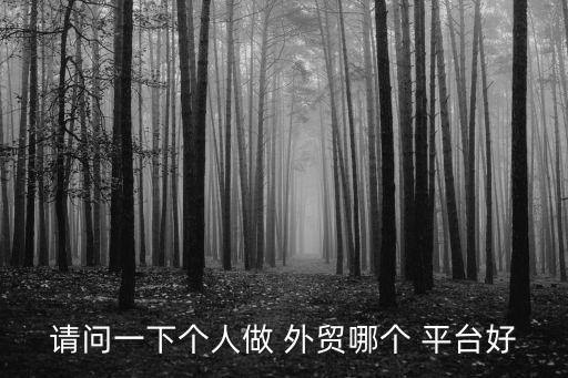 请问一下个人做 外贸哪个 平台好