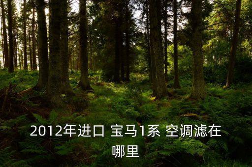 2012年进口 宝马1系 空调滤在哪里