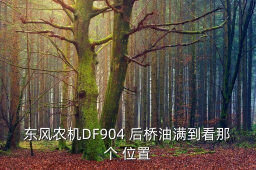 东风农机DF904 后桥油满到看那个 位置