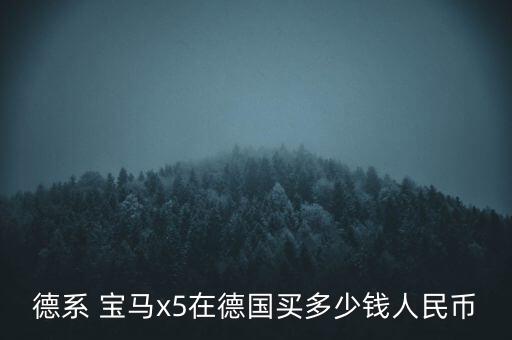 德系 宝马x5在德国买多少钱人民币