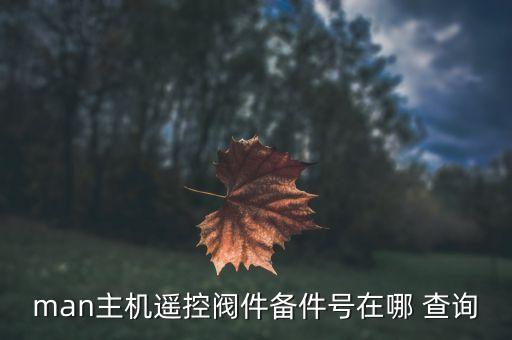 man主机遥控阀件备件号在哪 查询