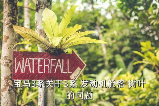 树叶掉到发动机舱怎么处理