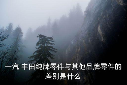 一汽 丰田纯牌零件与其他品牌零件的差别是什么