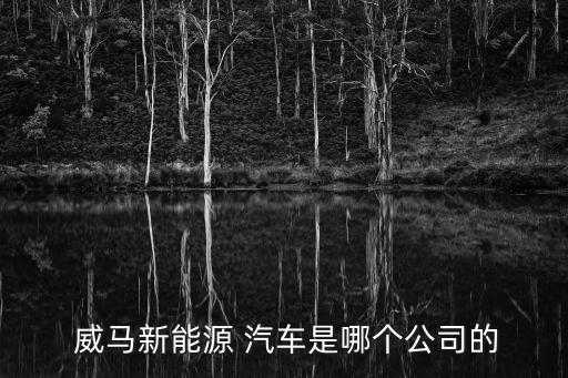 威马汽车厂家地址,威马新能源汽车厂家电话是多少