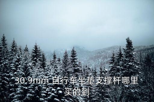 30.9mm 自行车坐垫支撑杆哪里买的到