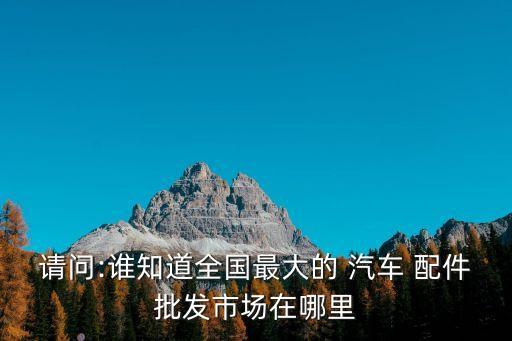 请问:谁知道全国最大的 汽车 配件批发市场在哪里
