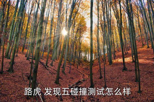  路虎 发现五碰撞测试怎么样