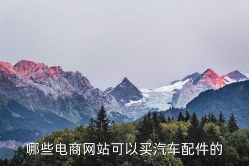 哪些电商网站可以买汽车配件的
