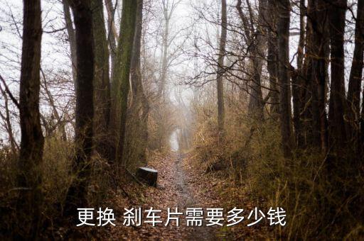 更换 刹车片需要多少钱