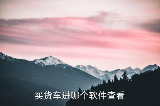 买货车进哪个软件查看