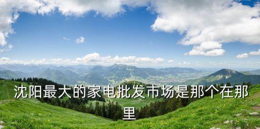  沈阳最大的家电批发市场是那个在那里