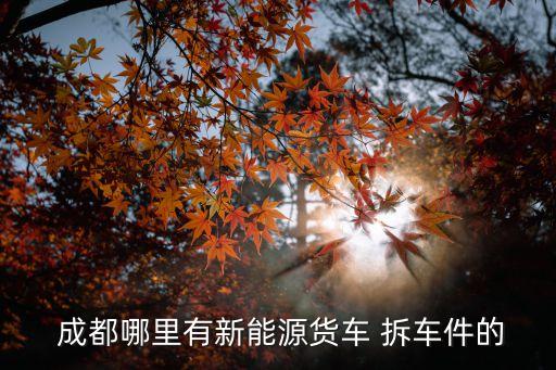  成都哪里有新能源货车 拆车件的