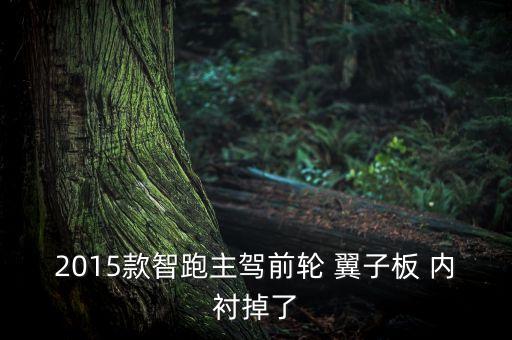 2015款智跑主驾前轮 翼子板 内衬掉了