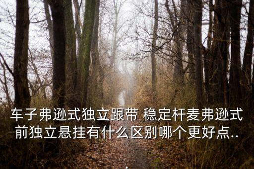 车子弗逊式独立跟带 稳定杆麦弗逊式前独立悬挂有什么区别哪个更好点...