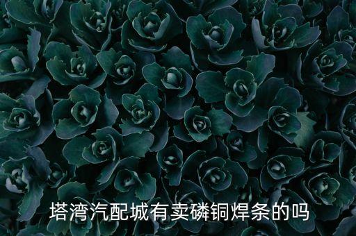 塔湾汽配城有卖磷铜焊条的吗