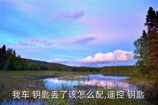我车 钥匙丢了该怎么配,遥控 钥匙