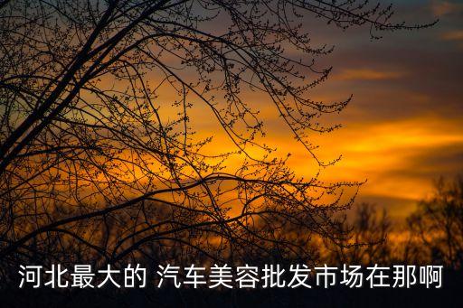 河北最大的 汽车美容批发市场在那啊