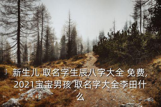 新生儿 取名字生辰八字大全 免费,2021宝宝男孩 取名字大全李田什么