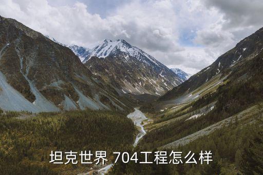坦克世界 704工程怎么样