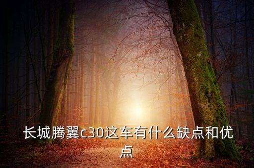  长城腾翼c30这车有什么缺点和优点