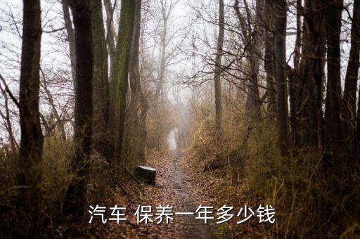  汽车 保养一年多少钱