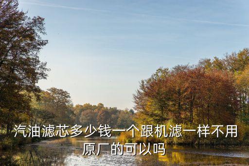  汽油滤芯多少钱一个跟机滤一样不用原厂的可以吗