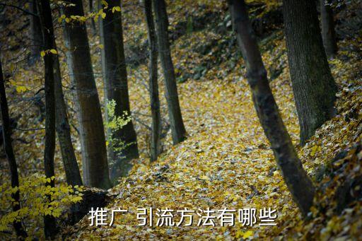 推广 引流方法有哪些