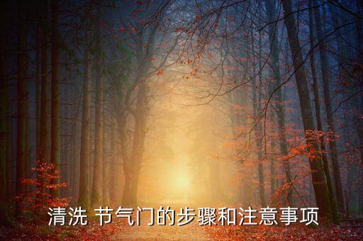  清洗 节气门的步骤和注意事项