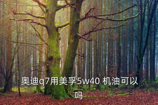  奥迪q7用美孚5w40 机油可以吗