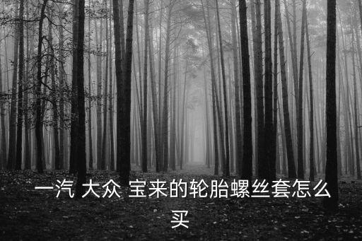  一汽 大众 宝来的轮胎螺丝套怎么买