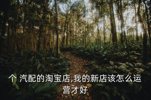 个 汽配的淘宝店,我的新店该怎么运营才好