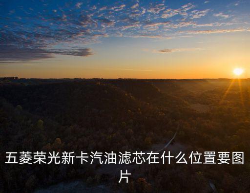 五菱荣光新卡汽油滤芯在什么位置要图片