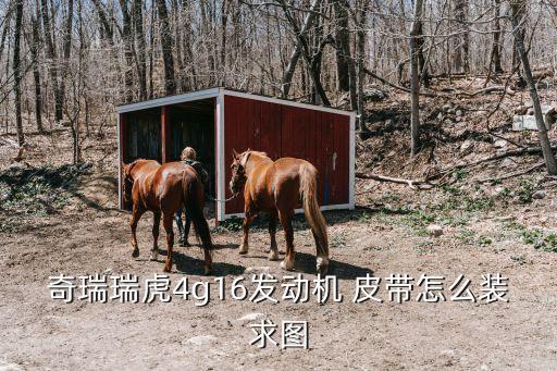 途锐发电机皮带怎么装,大众途锐v6发电机皮带安装图