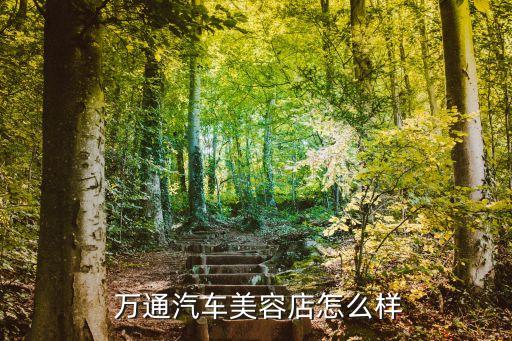  万通汽车美容店怎么样