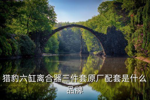 猎豹六缸离合器三件套原厂配套是什么品牌