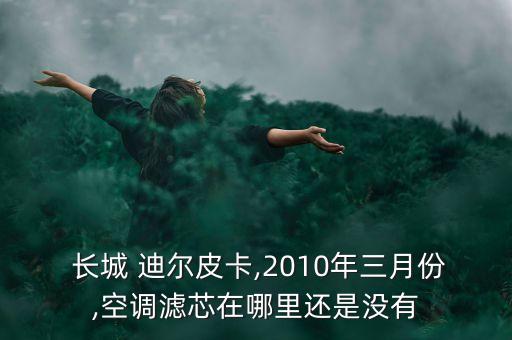  长城 迪尔皮卡,2010年三月份,空调滤芯在哪里还是没有
