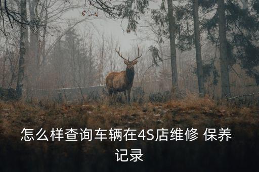 怎么样查询车辆在4S店维修 保养 记录