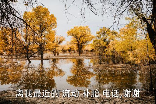 离我最近的 流动 补胎 电话,谢谢