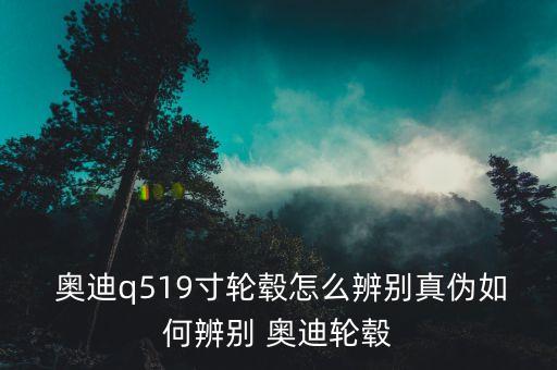  奥迪q519寸轮毂怎么辨别真伪如何辨别 奥迪轮毂