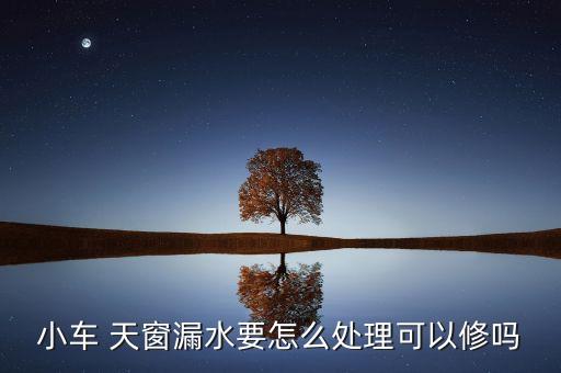 小车 天窗漏水要怎么处理可以修吗