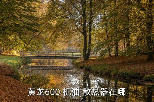 黄龙600 机油 散热器在哪