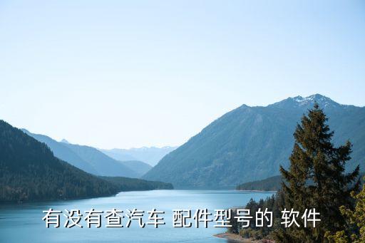 有没有查汽车 配件型号的 软件